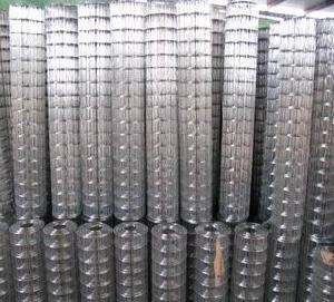 Welded Mesh