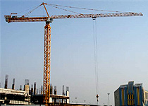 competent loyal tower crane