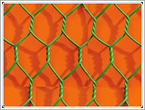 Hexagonal Wire Netting