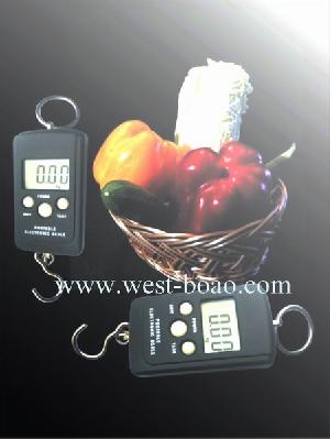 Portable Electronic Family Scale 50kg / 20g