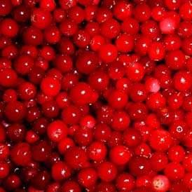 lingonberry powder