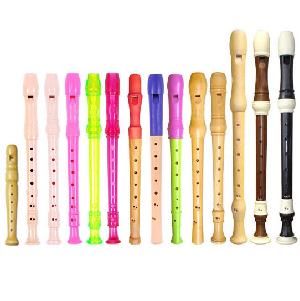 Recorder With Good Quality And Beautiful Design