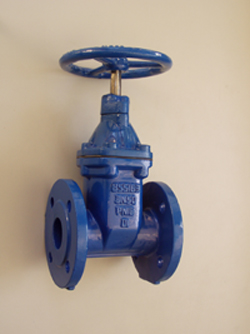 gate valve bs5163