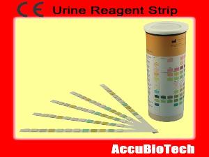 Rapid Urine Test Strip