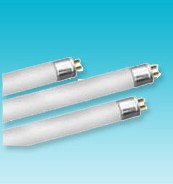 T5 Fluorescent Light