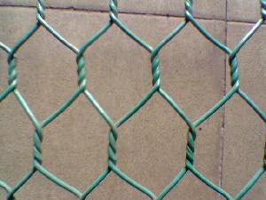 hexagonal wire netting