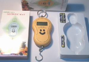 The Factory Of Portable Hanging Scale Ocs-1, 40kg / 20g