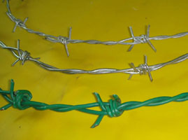 Galvanized Barbed Wire