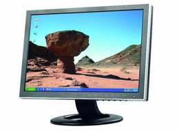 19 Inch Wide Screen Lcd Monitor As 190w