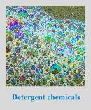 Sell Detergent Chemicals