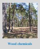 Sell Wood Preservative Chemicals