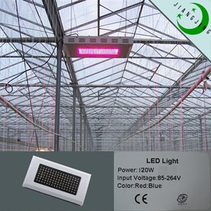 120w Led Grow Light