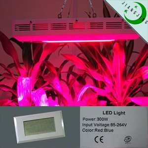 300w Led Grow Light