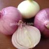 indian onion