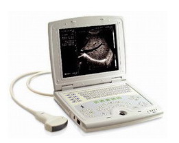Full Digital Veterinary Laptop Ultrasound Scanner-rsd-rd8b Vet Hm