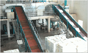 Model And Specification Of Chain Plate Conveyor