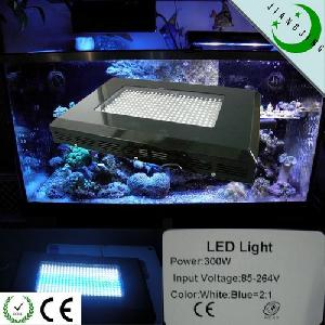 led aquarium tank light coral growing