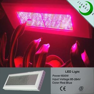 Led Grow Light Plants