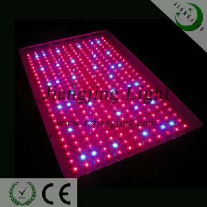 High Power 600w Led Plant Light Wite 2w Chip