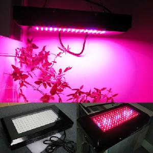 indoor led grow light