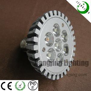 Par30 Led Spot Light