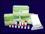 Greenspring Tm Zearalenone Elisa Test Kit