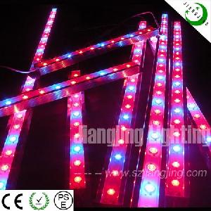 2011 led grow light plants