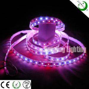 Dream Color Led Chase Strip Light