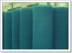 Sell Hexagonal Wire Netting