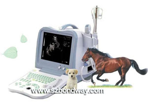 portable digital vet ultrasound scanner bw530v