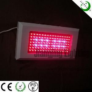 led plant grow light