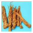 angelica dong quai extract