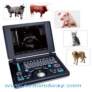 Full Digital Laptop Veterinary Ultrasound Scanner