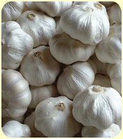 Sell Fresh Normal Garlic, White Garlic / Flakes
