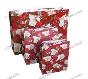 Shinny Red Flower For The Christmas Commercial Paper Bag