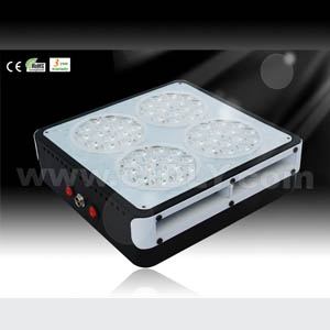 No4 Apollo Led Grow Light