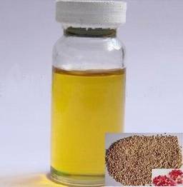 We Sell Pomegranate Seed Oil For Export
