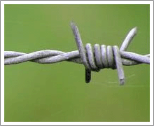 Barbed Wire For Artware, Galvanizedbarbedwire