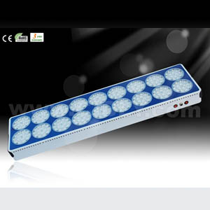 No Eighteenth Apollo Led Grow Light