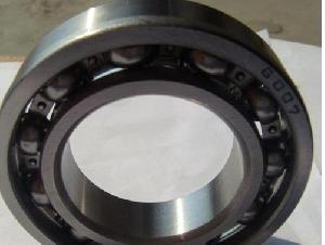 Tgu Bearing 6007