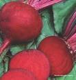 Low Price Supply High Quality Red Beet Extract P