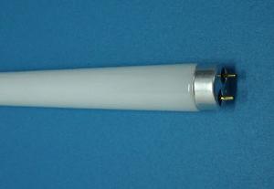 fluorescent tube light