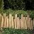 Bamboo Border Edging Bamboo Low Rolled Fence And Bamboo Post And Rail Fences