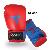 Aster Boxing Gloves French Style