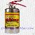 Stainless Steel Dry Powder Fire Extinguisher