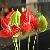 Artificial Flower Pu Anthurium