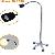 Hospital Halogen Examination Lights Dental Gynecological Vet Exam Lighting For African Importer