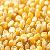 Maize Yellow Corn