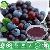 Acai Berry Extract