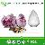 Natural Paeonia Albiflora Extract 10% Paeoniflorin Powder